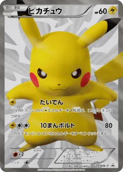 Pikachu 229, Black & White Promos Japanese card