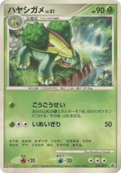 Grotle 034, Diamond & Pearl Promos Japanese card