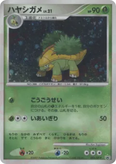 Grotle 052, Diamond & Pearl Promos Japanese card