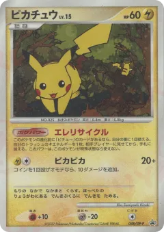 Pikachu 048, Diamond & Pearl Promos Japanese card