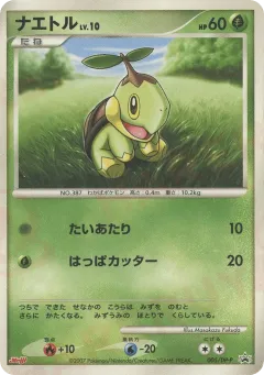 Turtwig 005, Diamond & Pearl Promos Japanese card