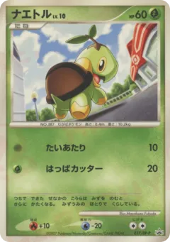 Turtwig 017, Diamond & Pearl Promos Japanese card