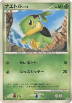Turtwig 027, Diamond & Pearl Promos Japanese card