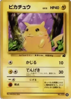 Pikachu 13, Intro Pack (Bulbasaur) Japanese card