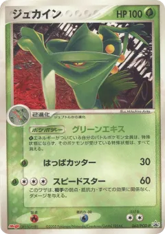 Sceptile 063, PCG Promos Japanese card