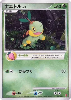 Turtwig 001, PPP Promos Japanese card
