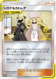 Cynthia & Caitlin 088, Sword & Shield Promos Japanese card