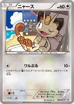 Meowth 250, XY Promos Japanese card