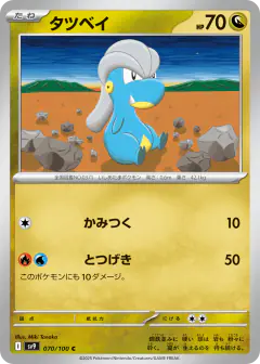 Bagon 070/100, Battle Partners Japanese card