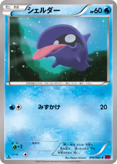 Shellder 016/060, Collection Y Japanese card
