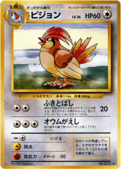 Pidgeotto No.017/102, Expansion Pack Japanese card