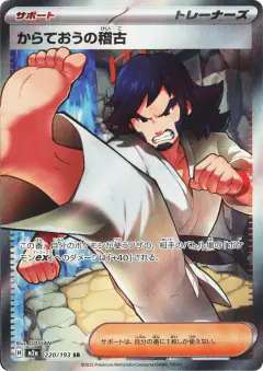 Black Belt's Training 220/193, MEGA Dream ex Japanese card