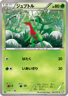 Grovyle 004/051, Spiral Force Japanese card