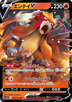 Entei V 019/172, VSTAR Universe Japanese card