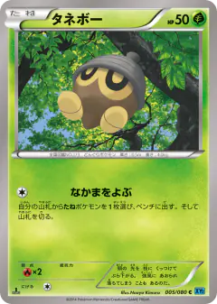 Seedot 005/080, Wild Blaze Japanese card