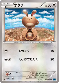 Sentret 067/080, Wild Blaze Japanese card